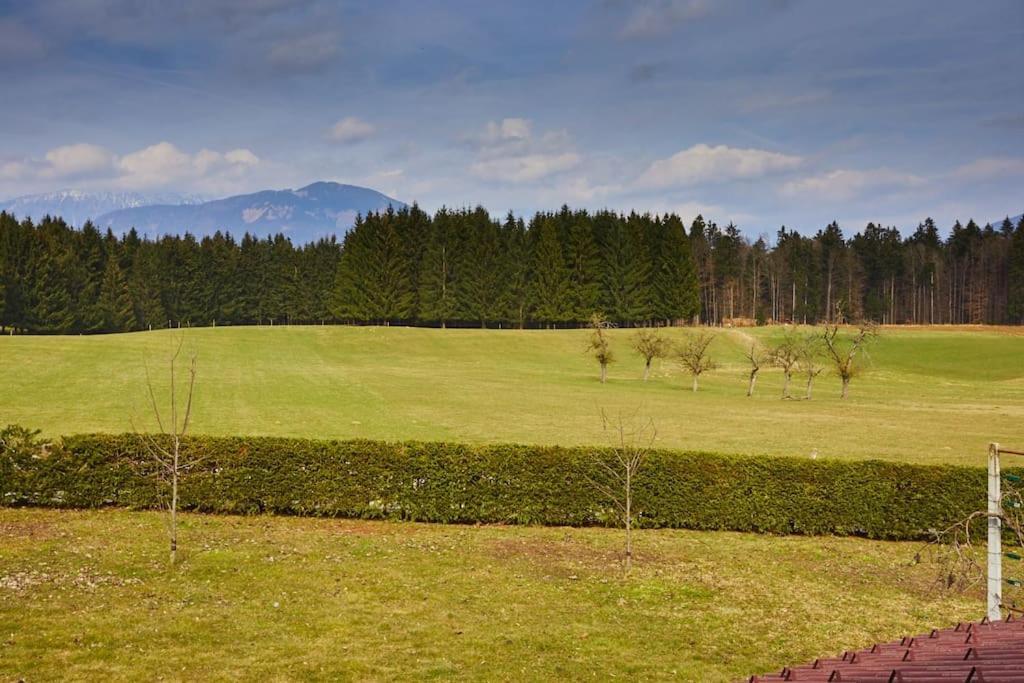 Appartamento Countryside House Near Bled Podnart Esterno foto